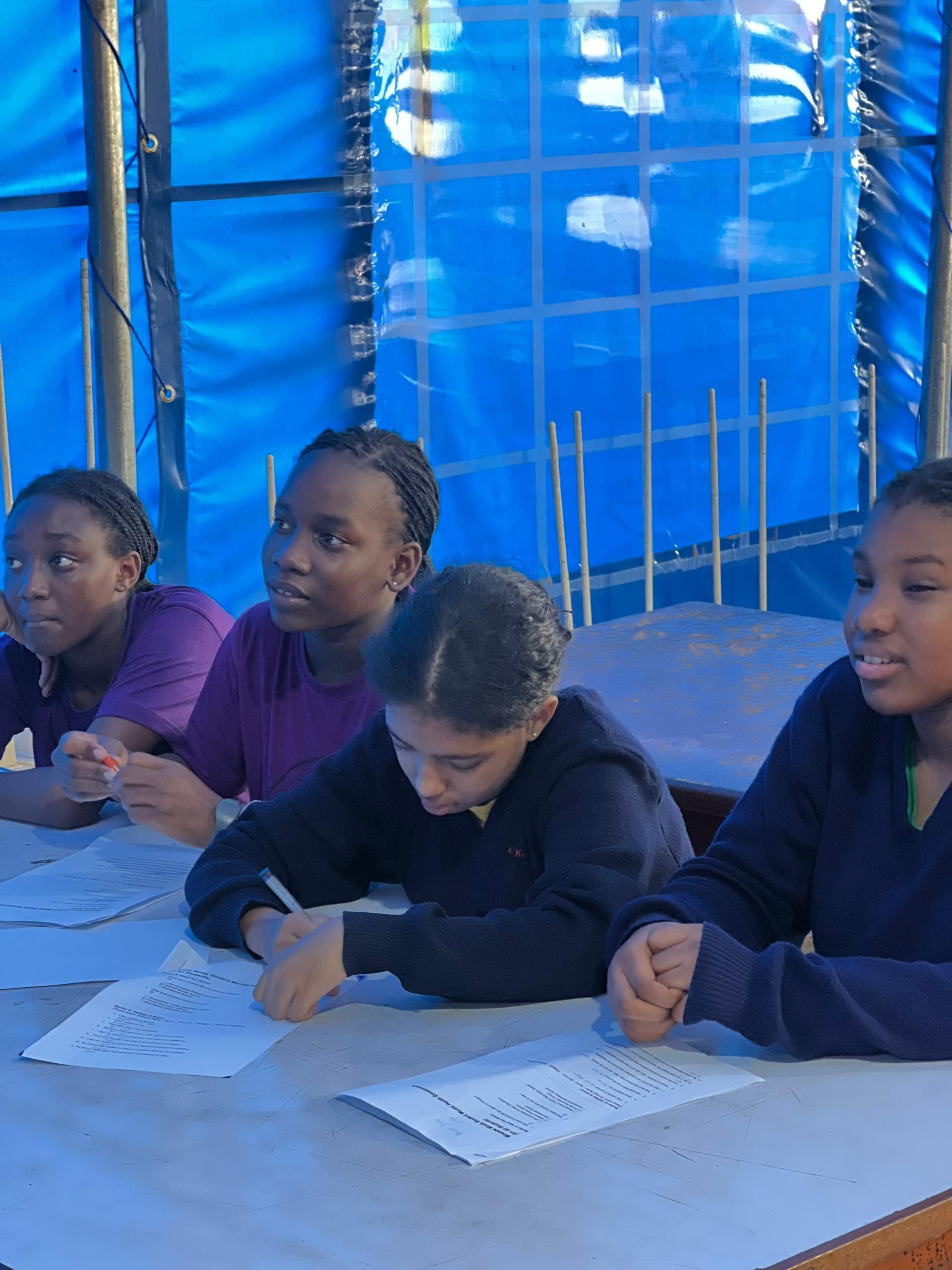 GREENHILL PRIMARY AND SECONDARY Activity